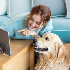 Collection image for: Smart Pet Tech