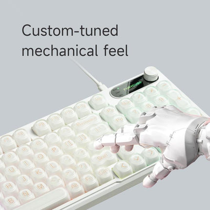 FURYCUBE IP98 Foundation Keyboard 98Keys Wired with Number Pad Silent Media Knob Custom Mechanical Feel RGB Backlit Ergonomic for PC MAC PS4 Xbox ONE